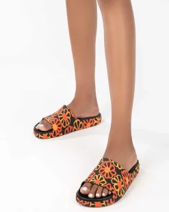 Slides*Melissa Cloud