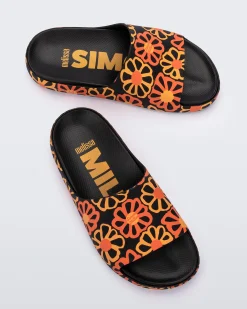 Slides*Melissa Cloud