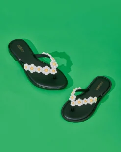Flip Flops*Melissa Flip Flop Spring