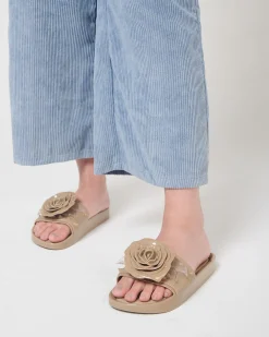 Slides*Melissa Spikes Beach